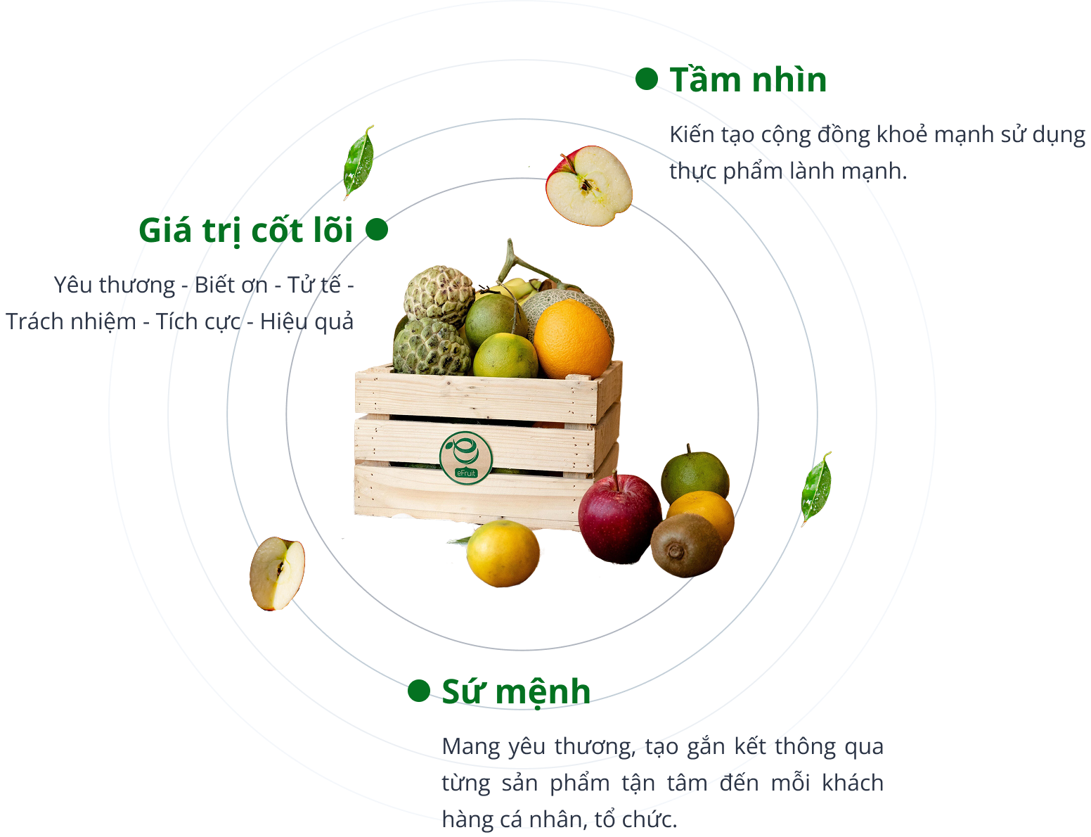 Tầm nhìn - Sứ mệnh - Giá trị cốt lõi